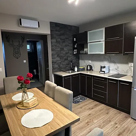 Dom W Gorach Z Kominkiem I Balia Ogrodowa Sielanka Apartment Skomielna Czarna